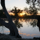 Illustration for article titled Roamin the Riverland.